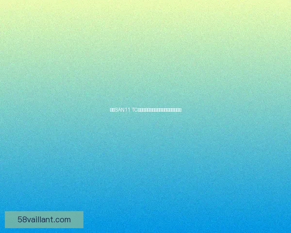 基于SAN11 TC技术的高效数据存储与传输优化方案研究